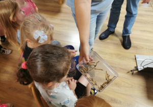 Jeż i inne zwierzęta - warsztaty edukacyjne