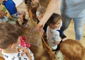 Jeż i inne zwierzęta - warsztaty edukacyjne