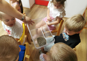 Jeż i inne zwierzęta - warsztaty edukacyjne