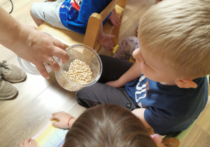 Jeż i inne zwierzęta - warsztaty edukacyjne