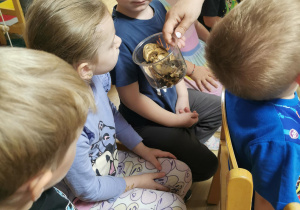 Jeż i inne zwierzęta - warsztaty edukacyjne