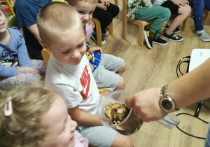 Jeż i inne zwierzęta - warsztaty edukacyjne