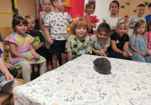 Jeż i inne zwierzęta - warsztaty edukacyjne