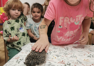 Jeż i inne zwierzęta - warsztaty edukacyjne