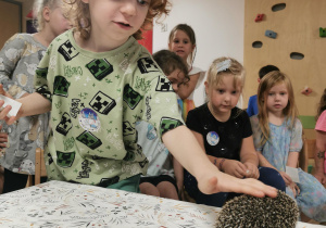 Jeż i inne zwierzęta - warsztaty edukacyjne