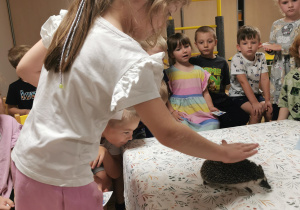 Jeż i inne zwierzęta - warsztaty edukacyjne