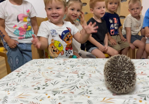 Kto zasypia zimą a kto nie? - warsztaty edukacyjne