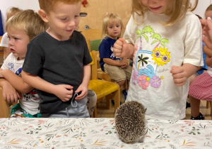 Kto zasypia zimą a kto nie? - warsztaty edukacyjne