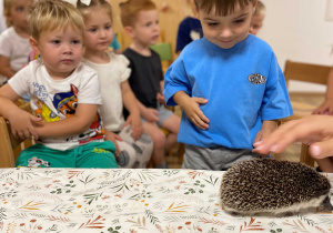 Kto zasypia zimą a kto nie? - warsztaty edukacyjne
