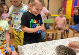 Kto zasypia zimą a kto nie? - warsztaty edukacyjne