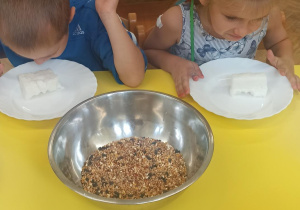 Pokarm dla ptaków