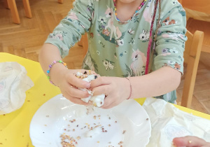 Pokarm dla ptaków