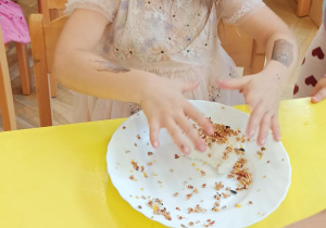 Pokarm dla ptaków