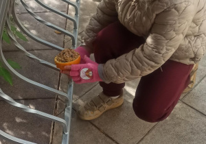 Pokarm dla ptaków