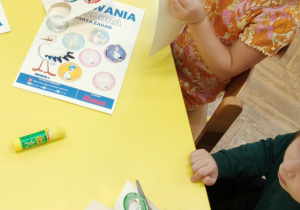 AWF zajęcia sportowe nr 3