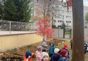 Wiewiórka wśród przedszkolnych zabaw