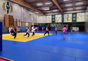 AWF zajęcia sportowe nr 1 - wiosna