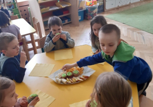 Urodzinki Timy