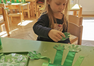 Żabki drzewne wyskoczyły do ogrodu