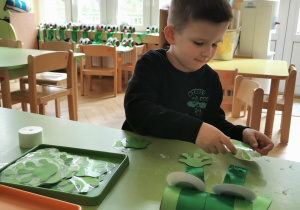 Żabki drzewne wyskoczyły do ogrodu