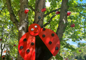 Biedronki recyklingu w ogrodzie