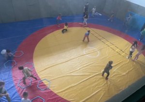 TAEKWONDO II