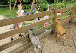 Wycieczka na Farmę Cztery Pory Roku