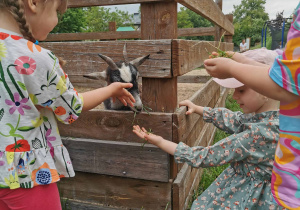 Wycieczka na Farmę Cztery Pory Roku