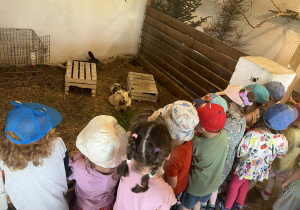 Wycieczka na Farmę Cztery Pory Roku