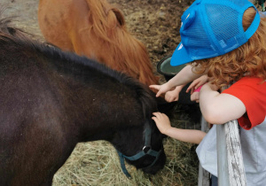 Wycieczka na Farmę Cztery Pory Roku
