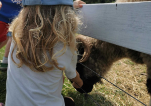 Wycieczka na Farmę Cztery Pory Roku