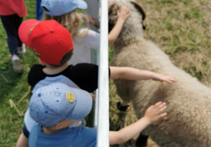Wycieczka na Farmę Cztery Pory Roku