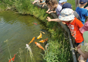 Wycieczka na Farmę Cztery Pory Roku