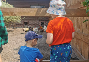 Wycieczka na Farmę Cztery Pory Roku