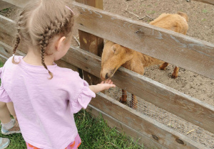 Wycieczka na Farmę Cztery Pory Roku