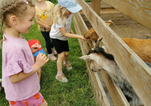 Wycieczka na Farmę Cztery Pory Roku