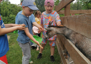 Wycieczka na Farmę Cztery Pory Roku