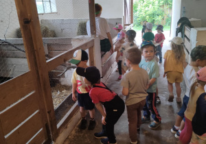 Wycieczka do Powsina - farma ,,Cztery Pory Roku,,