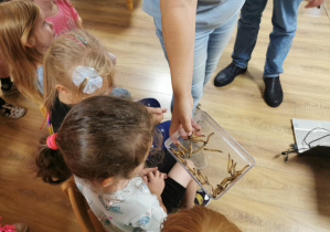 Jeż i inne zwierzęta - warsztaty edukacyjne