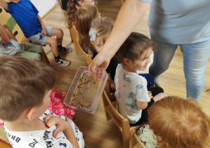 Jeż i inne zwierzęta - warsztaty edukacyjne