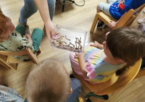 Jeż i inne zwierzęta - warsztaty edukacyjne