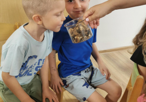 Jeż i inne zwierzęta - warsztaty edukacyjne