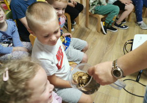 Jeż i inne zwierzęta - warsztaty edukacyjne