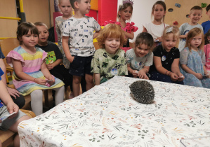 Jeż i inne zwierzęta - warsztaty edukacyjne
