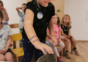 Jeż i inne zwierzęta - warsztaty edukacyjne