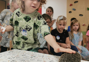 Jeż i inne zwierzęta - warsztaty edukacyjne