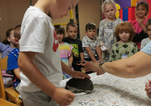 Jeż i inne zwierzęta - warsztaty edukacyjne