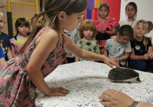 Jeż i inne zwierzęta - warsztaty edukacyjne