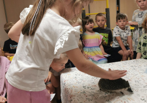 Jeż i inne zwierzęta - warsztaty edukacyjne
