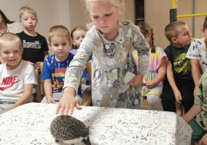 Jeż i inne zwierzęta - warsztaty edukacyjne